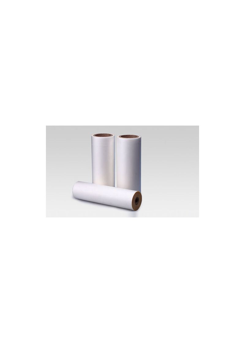 POLIESTERE FILM TRANFER PER SISTEMA DTF H.30/60 CM. X100 MT. POLIESTERE FILM TRANFER PER SISTEMA DTF H.30/60 CM. X100 MT.