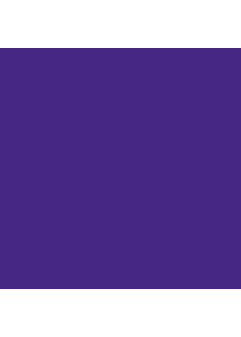 TERMOTRASFERIBILE PURPLE DA TAGLIO TERMOTRASFERIBILE PURPLE DA TAGLIO