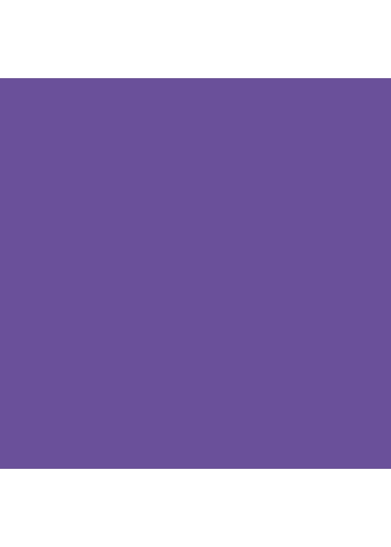 TERMOTRASFERIBILE ORCHID PURPLE DA TAGLIO TERMOTRASFERIBILE ORCHID PURPLE DA TAGLIO