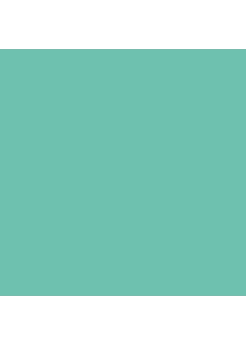 TERMOTRASFERIBILE MINT GREEN DA TAGLIO TERMOTRASFERIBILE MINT GREEN DA TAGLIO